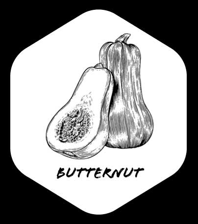 Grafik von Butternut