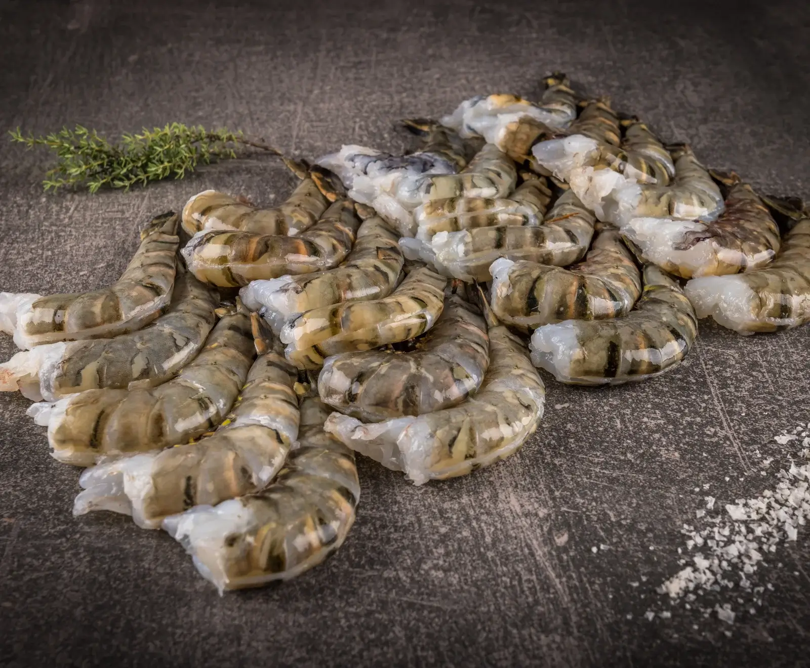 Black Tiger Garnelen