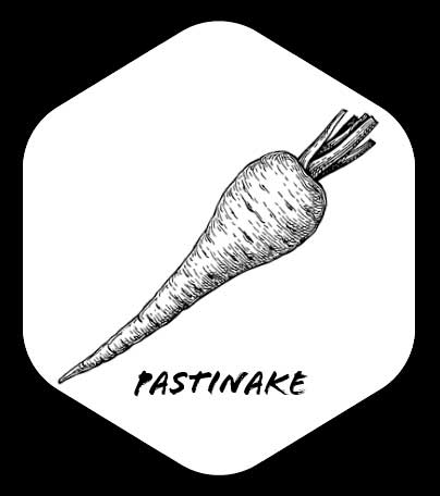 Grafik von Pastinake 