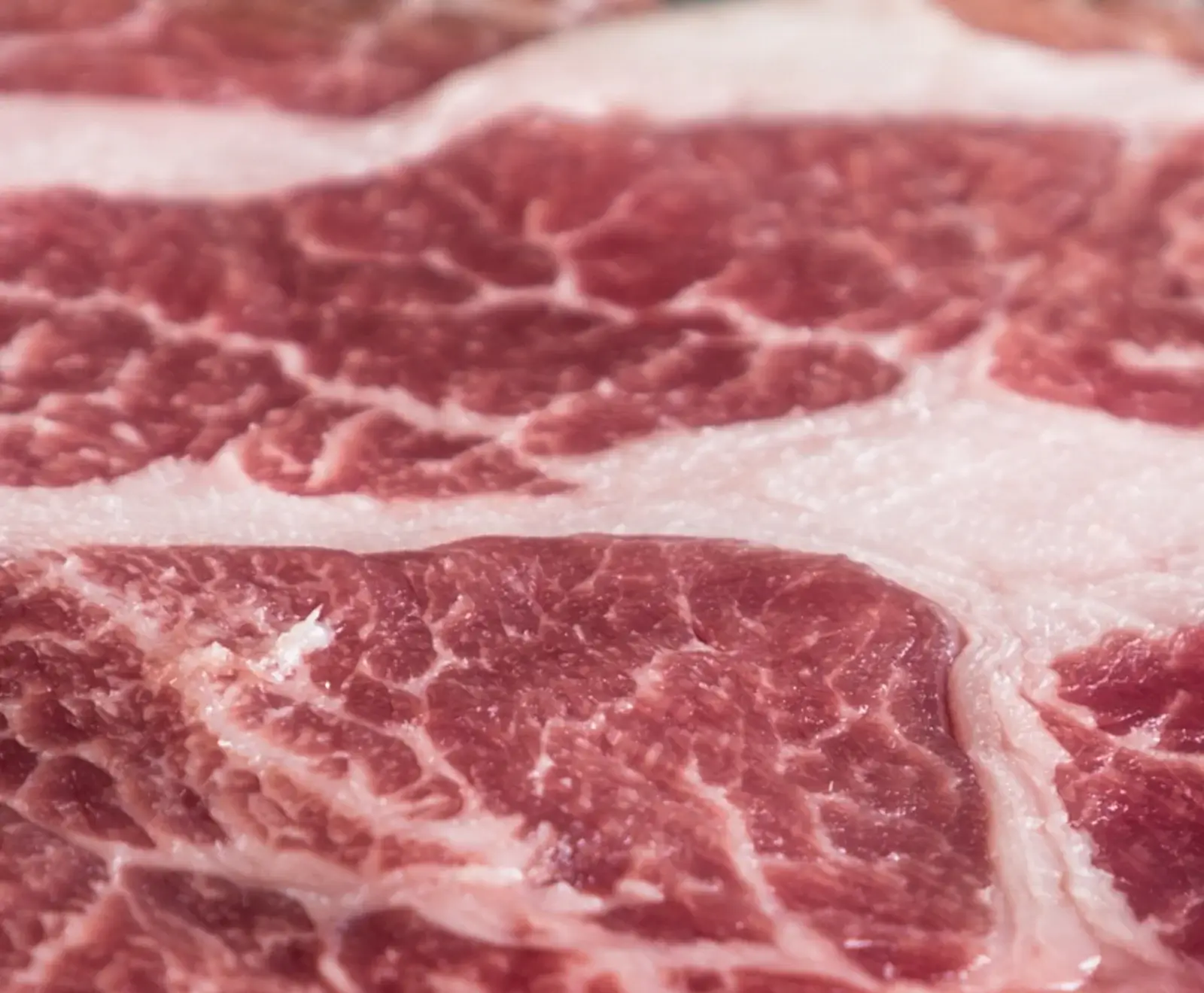 Nahaufnahme von rohem Fleisch, möglicherweise Rindfleisch, mit Fettmarmorierung auf einer weißen Oberfläche