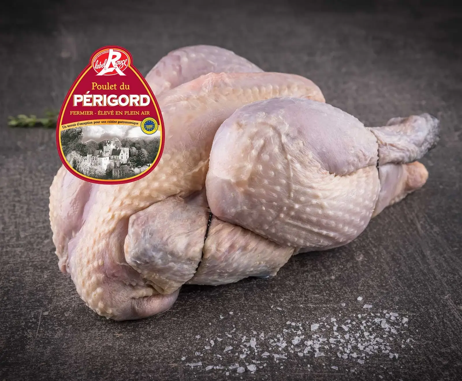 Französisches Schwarzfederhuhn ganz