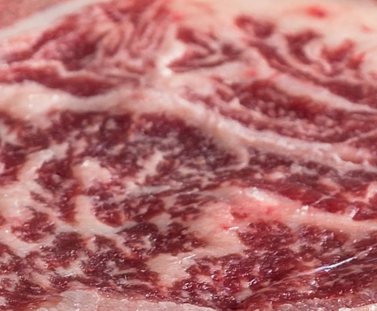 Nahaufnahme von rohem, stark marmoriertem Rindfleisch. Tiefrote Muskelfasern sind von feinen, weißen Fettäderchen durchzogen, die ein komplexes, netzartiges Muster bilden.