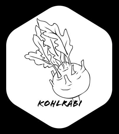 Grafik von Kohlrabi