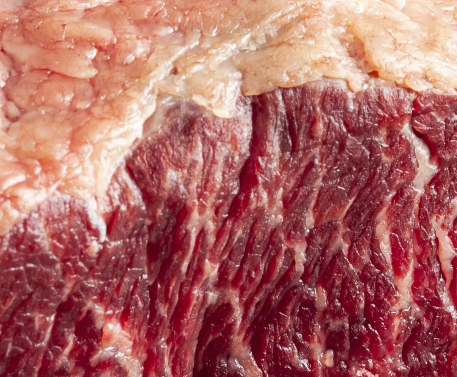 Nahaufnahme von rohem, marmoriertem Fleisch mit Fetteinlagerungen und dunkelroten Muskelfasern.