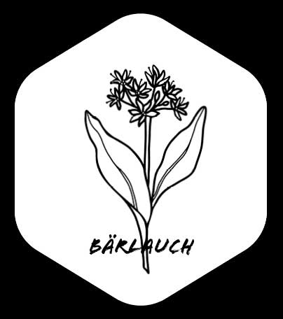 Grafik von Bärlauch