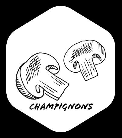 Grafik von Champignons