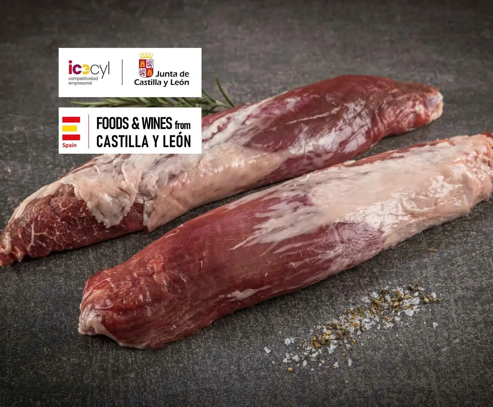 Zwei rohe Fleischstücke (vermutlich Schweinefilet) liegen auf einer dunklen Oberfläche, daneben grobes Salz und Pfeffer. Oben links sind Logos von Castilla y León und "Foods & Wines from Castilla y León" zu sehen.