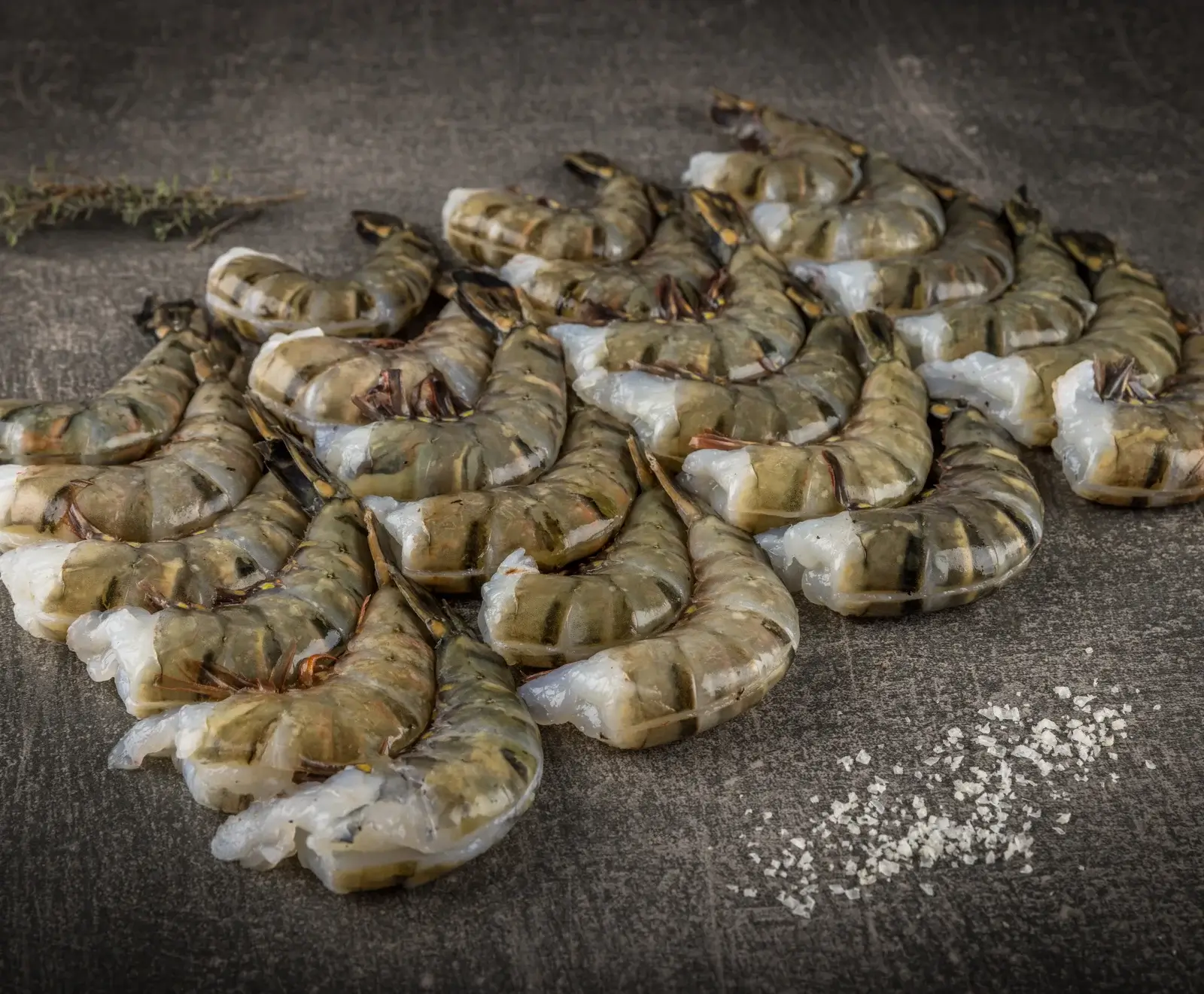 Wildfang Black Tiger Garnelen