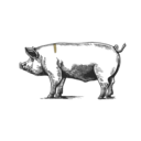 Dunkle, pixelige Silhouette eines Wildschweins mit einer hellbraunen Marke und der Nummer 1 auf dem Rücken, vor dunkelgrünem Hintergrund.