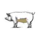 Grafik von einem Schwein, wo das Bauchfleisch eingezeichnet ist.