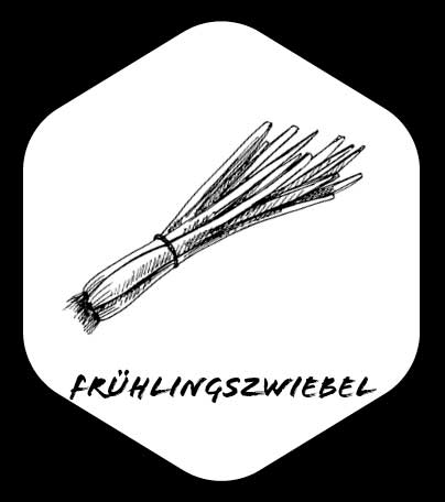 Grafik von Frühlingszwiebel