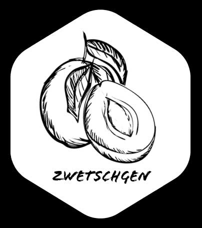 Grafik von Zwetschgen