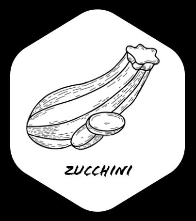 Grafik von eine Zucchini