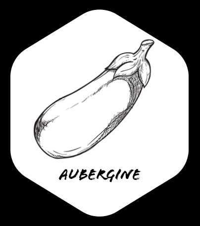 Grafik von eine Aubergine