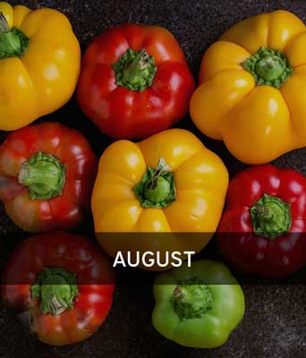 Leckere Paprika mit Aufschrift August