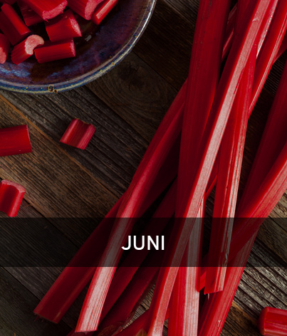 Leckerer Rhabarber mit der Aufschrift Juni