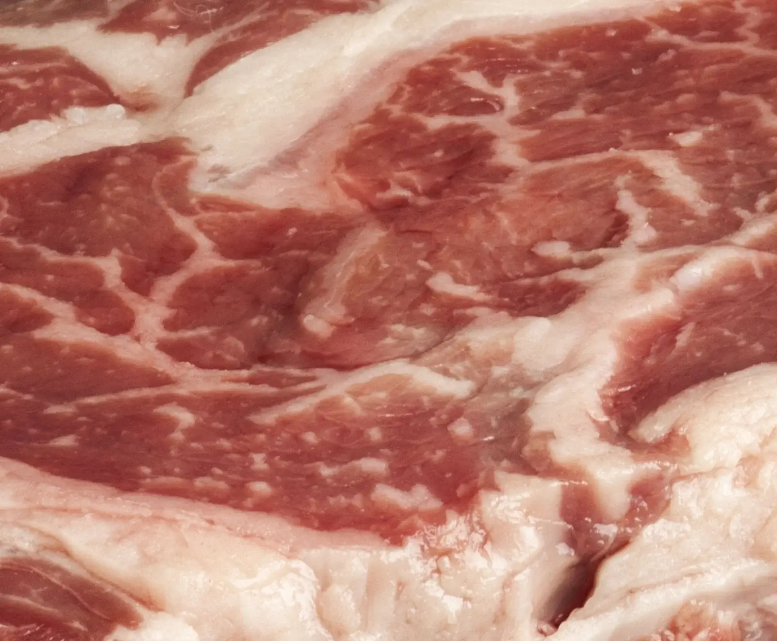 Nahaufnahme von rohem, rötlichem Fleisch mit ausgeprägter weißer Fettmarmorierung, die sich durch die Muskelfasern zieht und eine feuchte Textur zeigt.
