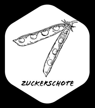 Grafik von Zuckerschote