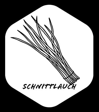Grafik von Schnittlauch