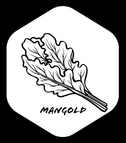 Grafik von Mangold 