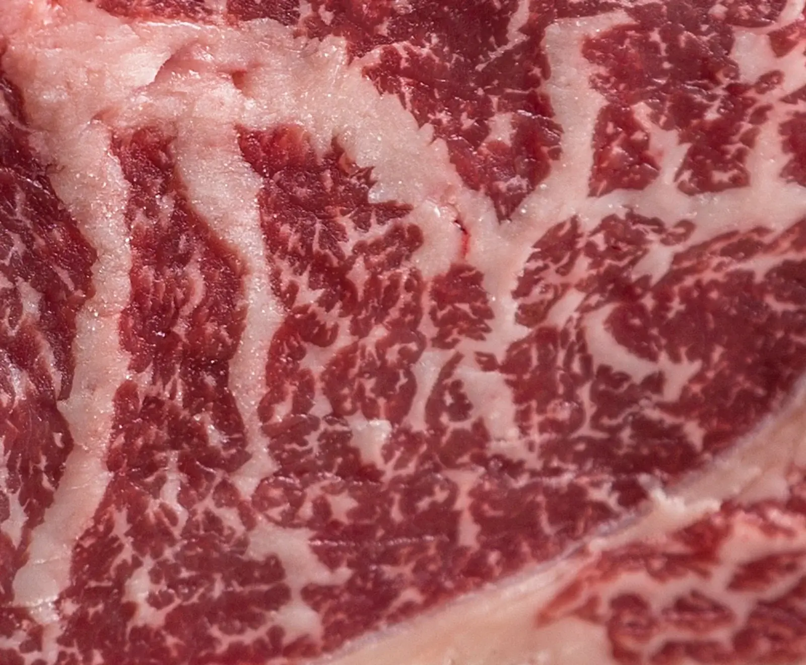 Nahaufnahme von marmoriertem rohem Fleisch mit Fetteinlagerungen