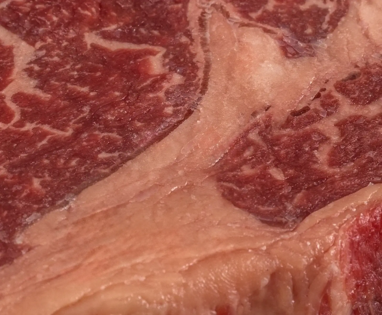 Nahaufnahme von rotem, rohem Rindfleisch mit ausgeprägter weißer Fettmarmorierung, die sich durch das Muskelfleisch zieht.