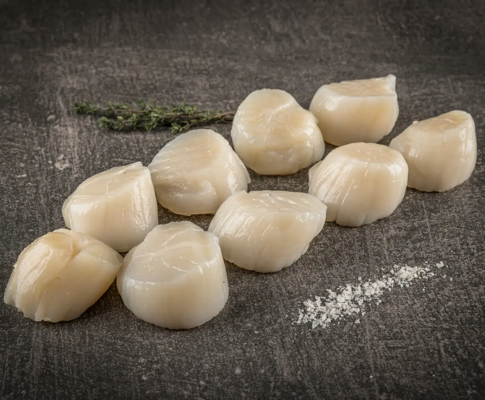 Japanische Jakobsmuscheln