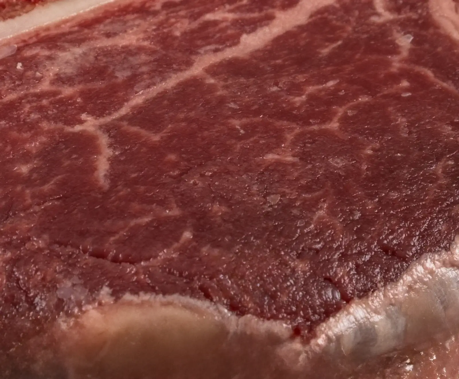 Nahaufnahme eines rohen, roten Fleischstücks, wahrscheinlich Rindfleisch, mit deutlicher weißer Marmorierung und einem Fettrand.