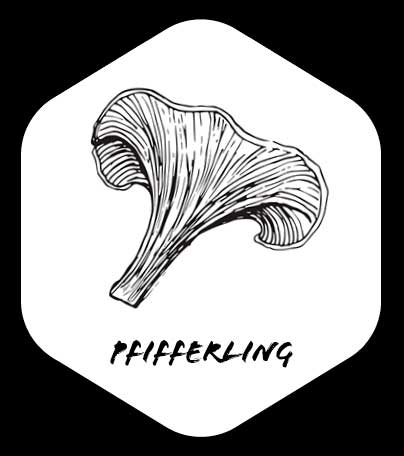 Grafik von Pfifferling