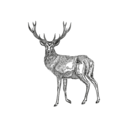 Schwarze, pixelige Silhouette eines Hirsches mit großem Geweih, der nach links blickt, vor einem einfarbigen dunkelgrünen Hintergrund.