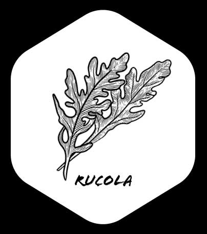 Grafik von Rucola