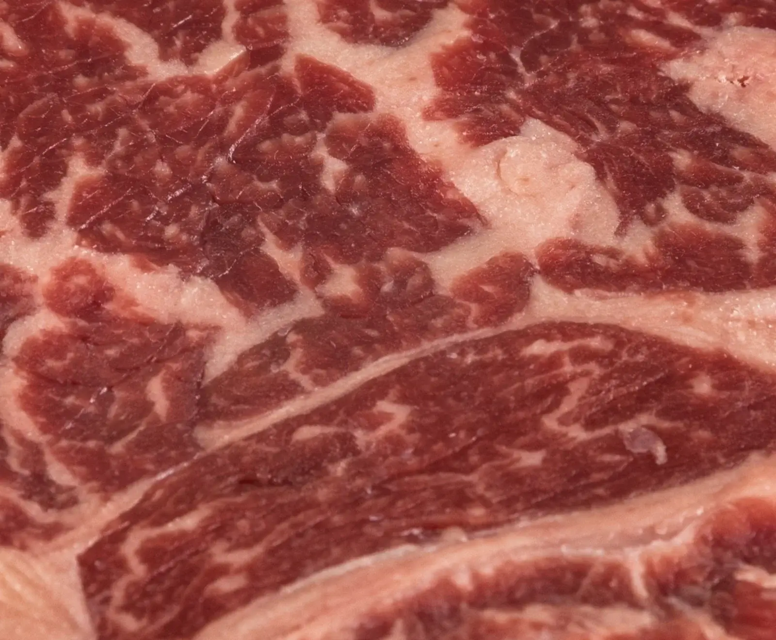 Nahaufnahme von rohem Rindfleisch mit ausgeprägter Marmorierung, rote Muskelfasern durchzogen von weißen Fettadern.