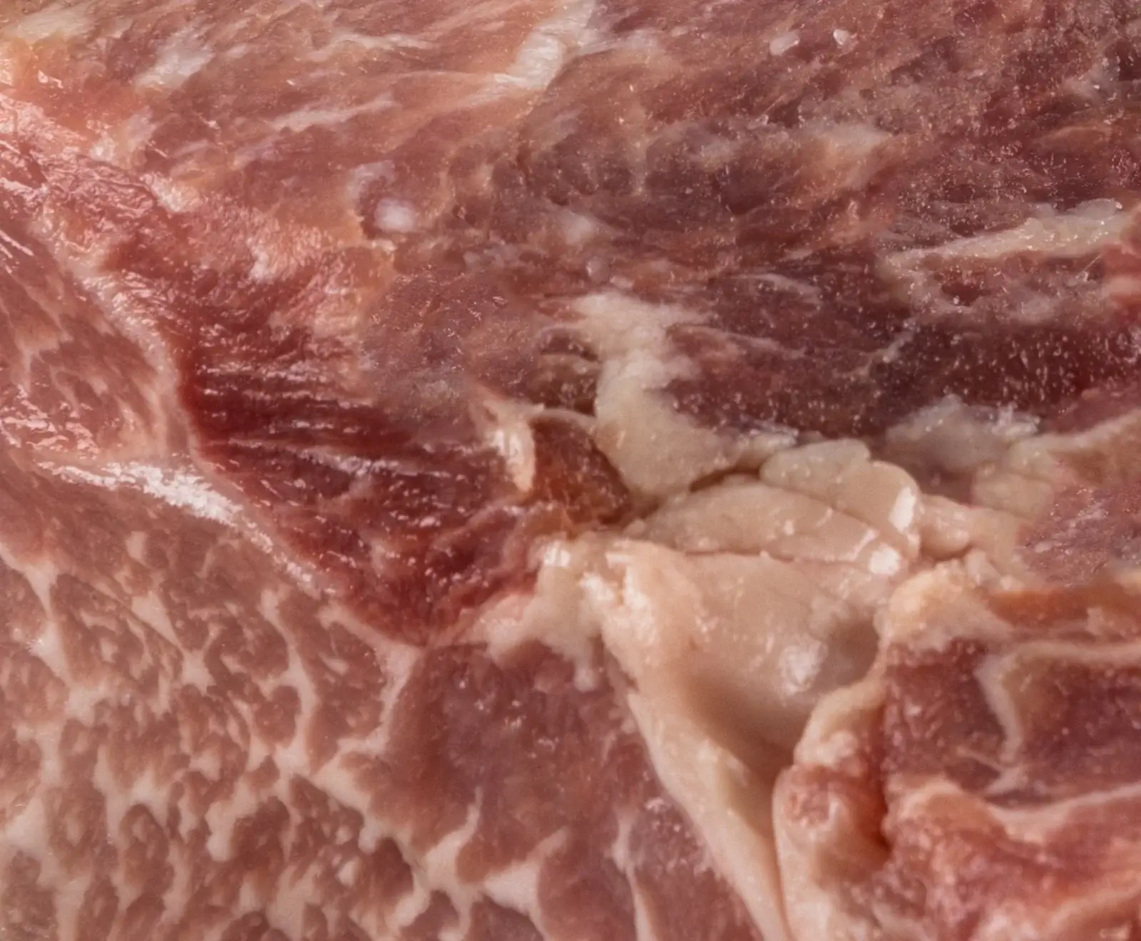 Nahaufnahme von frischem, rohem Fleisch mit deutlicher Marmorierung aus roten Muskelfasern und weißem Fett, das eine komplexe Textur zeigt.