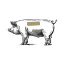 Zeichnung eines Schweins in Seitenansicht mit Beschriftungen der verschiedenen Fleischstücke und Körperteile