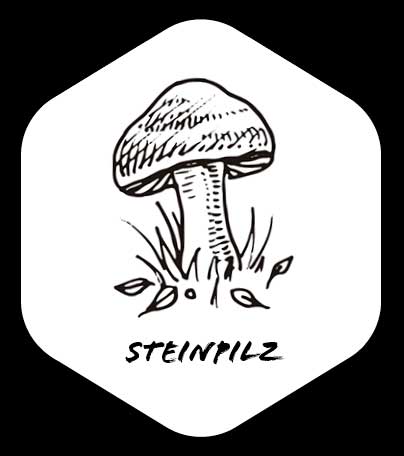 Grafik von Steinpilz
