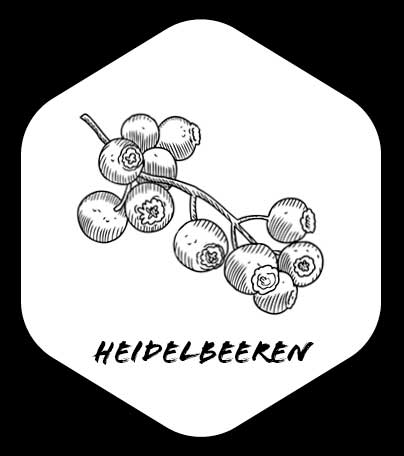 Grafik von Heidelbeeren