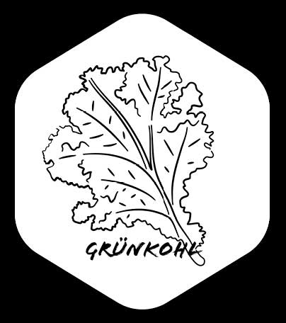 Grafik von Grünkohl