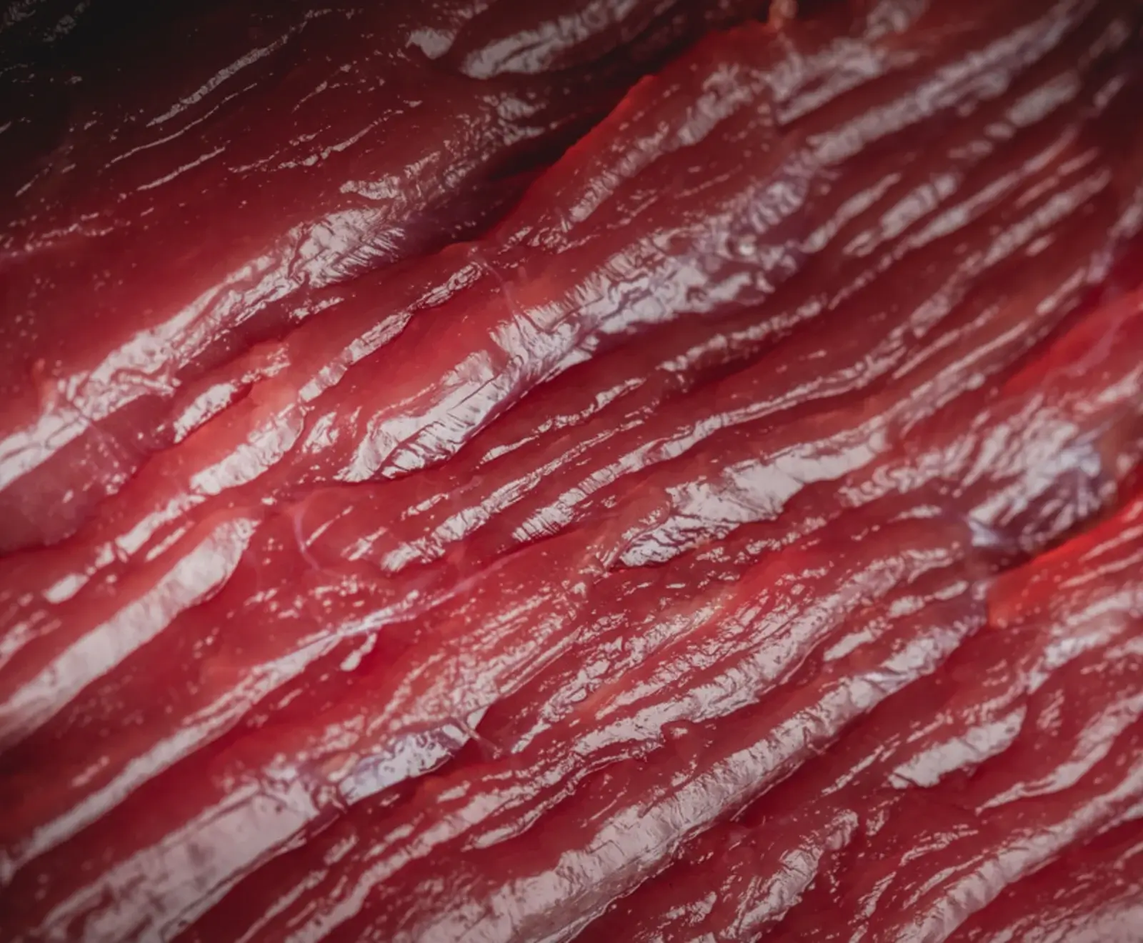 Nahaufnahme von glänzenden, dunkelroten, dünn geschnittenen Fleischstreifen, die eine faserige Textur zeigen. Die Streifen liegen parallel und reflektieren Licht.
