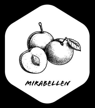 Grafik von Mirabellen 