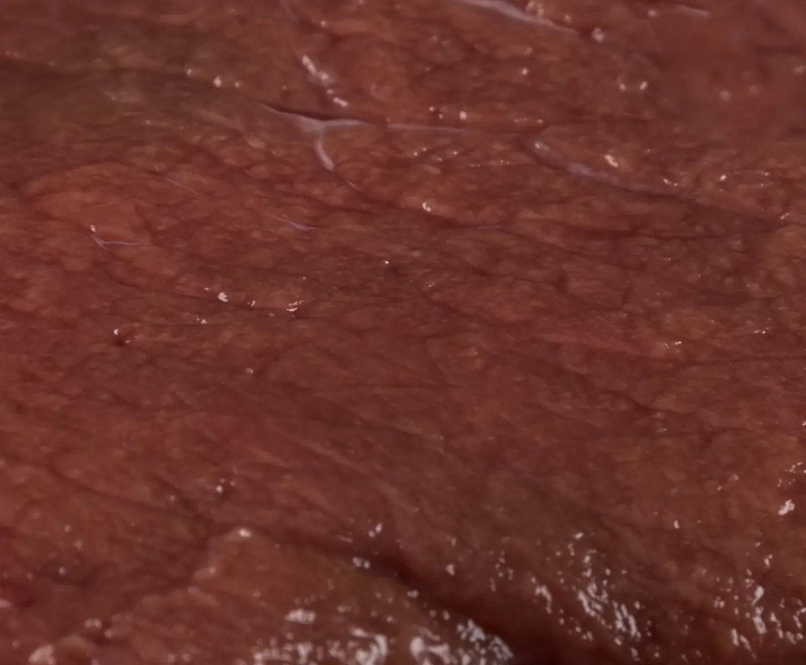 Makroaufnahme von dunkelrotem, feuchtem Fleischgewebe mit sichtbaren Fasern und glänzenden Flüssigkeitstropfen auf der Oberfläche.