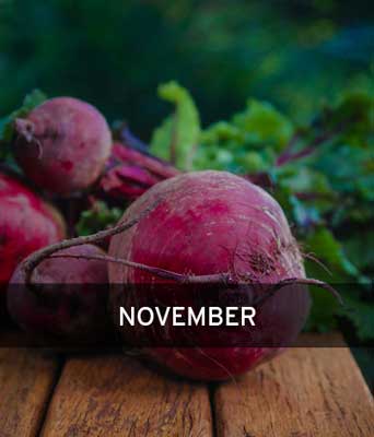 Leckerer Rotebeete mit der Aufschrift November