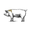 Grafik von einem Schwein, wo das Kotelett eingezeichnet ist.