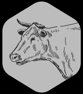 Finde dein Cut vom Rind 